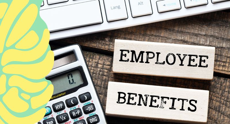 Global Payroll And Benefits Library Oyster